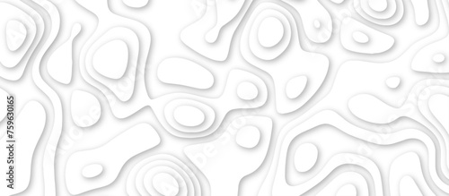 3d render, abstract white paper background. Paper cut vector art background banner texture. multi layer cutout geometric pattern on vector, Abstract soft white background with waves.