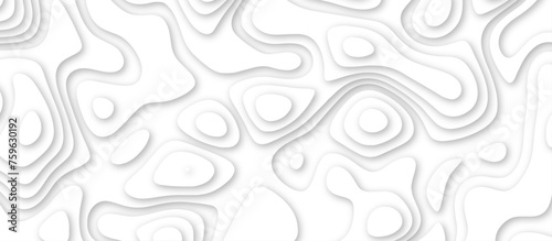 3d render, abstract white paper background. Paper cut vector art background banner texture. multi layer cutout geometric pattern on vector, Abstract soft white background with waves.