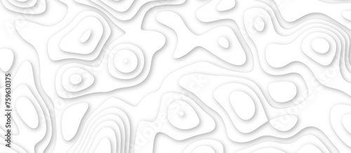 3d render, abstract white paper background. Paper cut vector art background banner texture. multi layer cutout geometric pattern on vector, Abstract soft white background with waves.