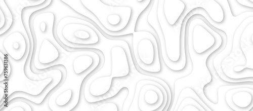 3d render, abstract white paper background. Paper cut vector art background banner texture. multi layer cutout geometric pattern on vector, Abstract soft white background with waves.