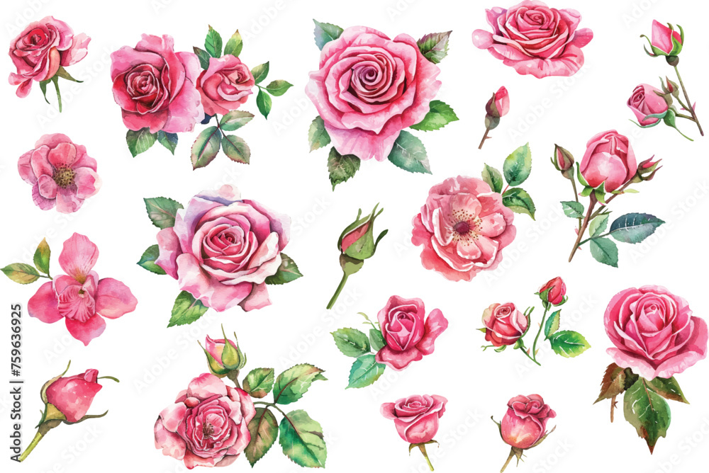 Naklejka premium Beautiful wedding pink rose flowers watercolor elements set