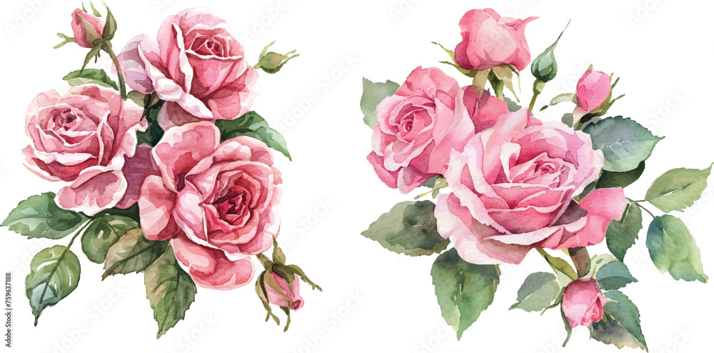 bouquet of roses isolated on white bouquet of roses isolated on white