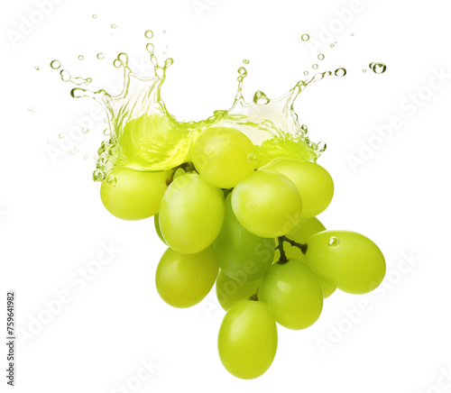 Muscat fall Isolated Png file on surreal highly detailed transparent background, Generative AI
