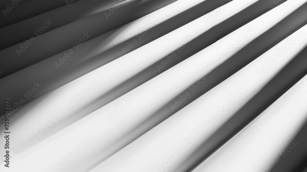 Obraz premium Branch with Leaves Casting Shadows on White Wall