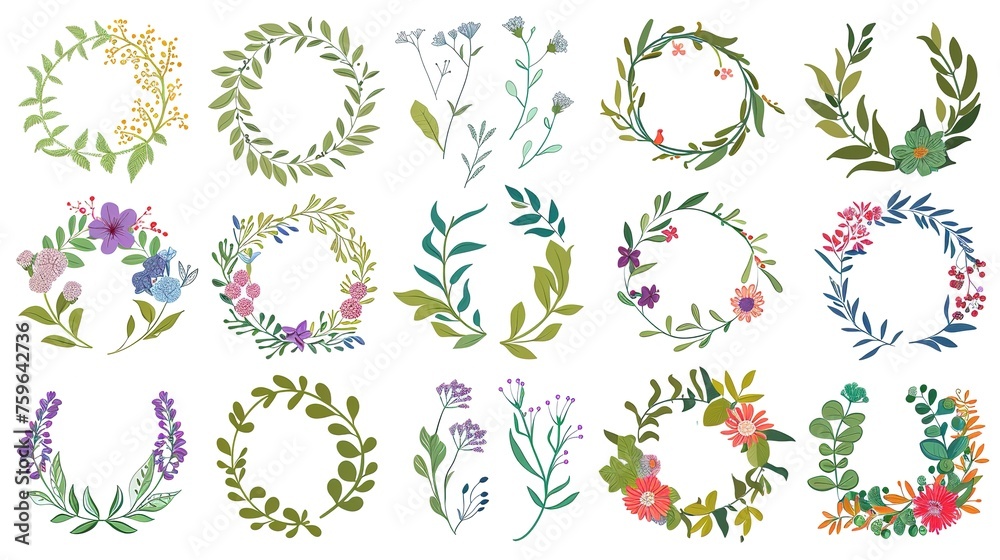  Botanical collection. Herbs, leaves, flowers. A set of decorative elements. flower wreaths for registration of the invitation for a holiday.