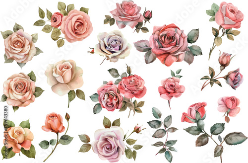 Watercolor floral illustration