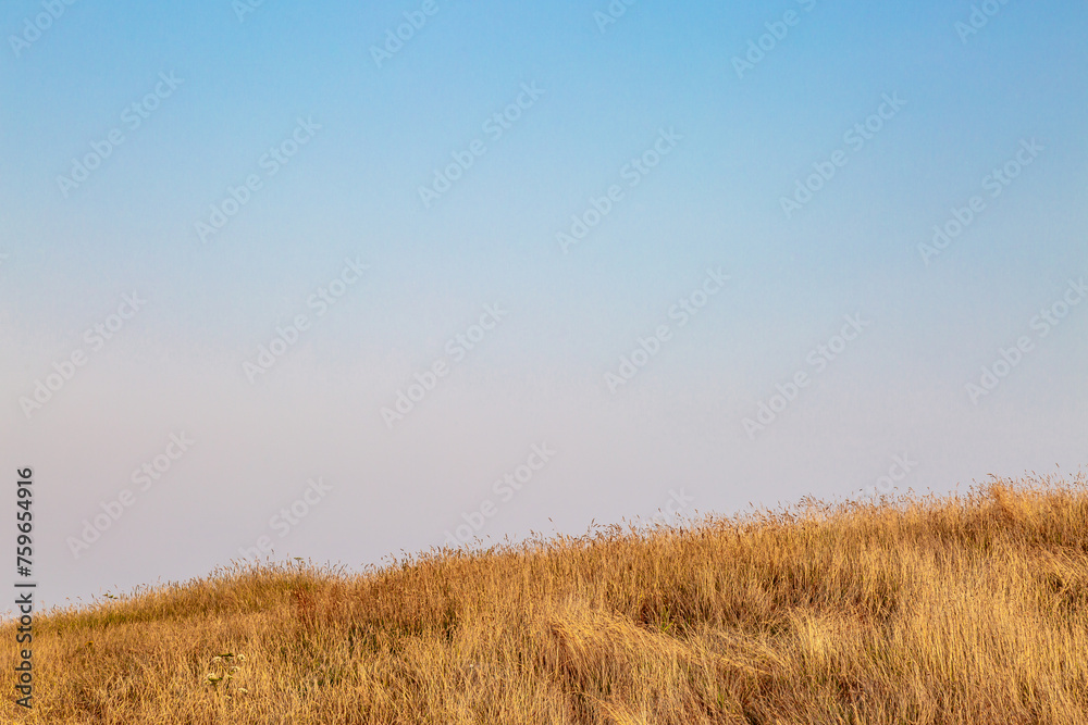 Evening light over a field with a clear sky overhead