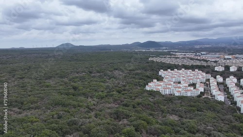 제주 곶자왈도립공원 photo