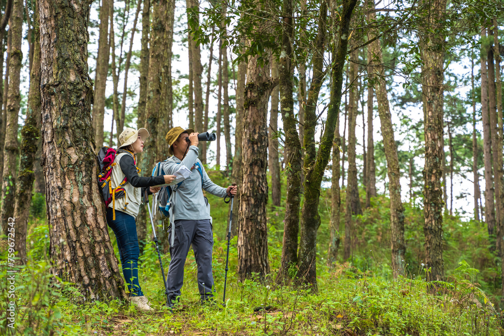Asian hiker man and woman with hiking stick trekking in national forest trail Asian hiker man and woman with hiking stick trekking in national forest trail