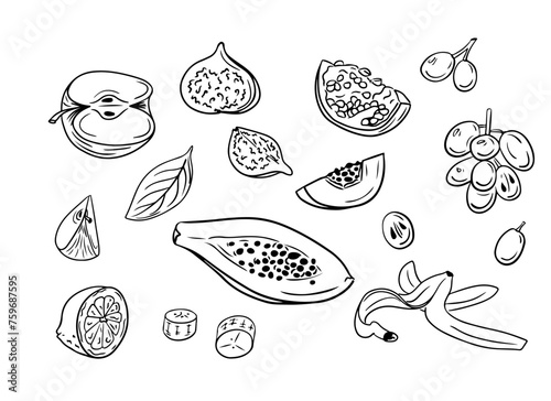 Black hand drawn sketchy drawings of fruits. Vector contour drawings of pieces of fruits on white background. Ideal for coloring pages, tattoo, stickers