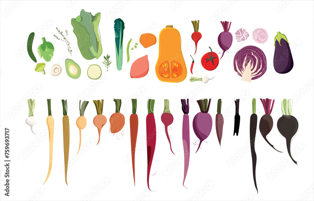 Colorful vegetables organized by color. Vector grocery elements. Eat the rainbow. Vegan. Set of healthy vegetables. Illustrations for farmers market, dieting, restaurant menu.