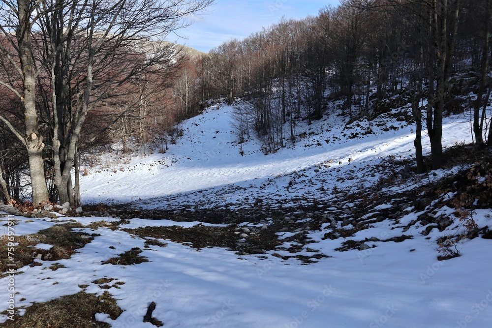 Campitello Matese - Scorcio della pista Capo d'Acqua