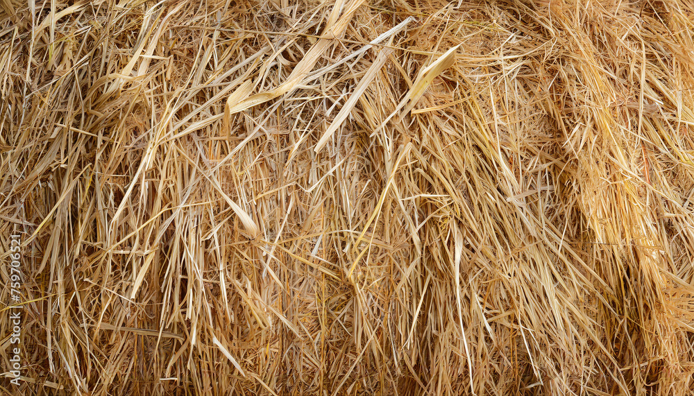 Abstract texture of hay bale, straw backdrop, dry grass background, agricultural concept Abstract texture of hay bale, straw backdrop, dry grass background, agricultural concept
