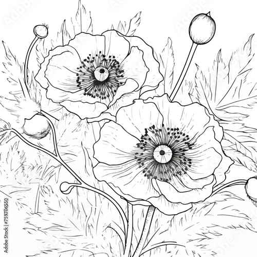 Floral zentangle seamless pattern. Adult anti stres photo