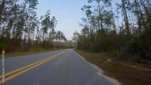 Forward Drive plate on remote highway surrounded by pine trees