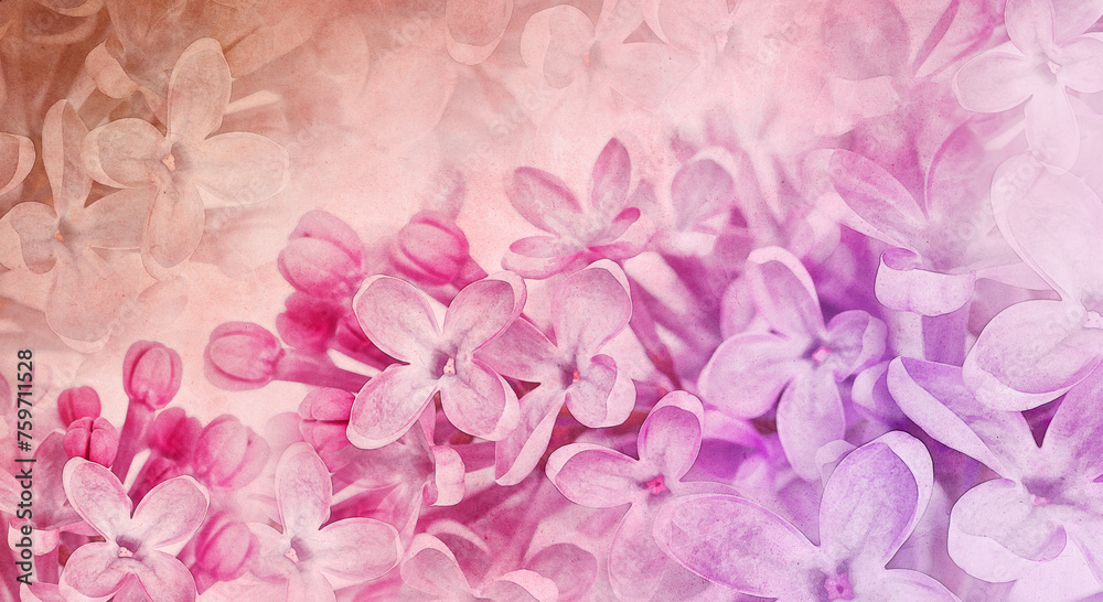Floral spring background.  Vintage watercolor background of lilac flowers.  Close-up. .Lilac bunch.