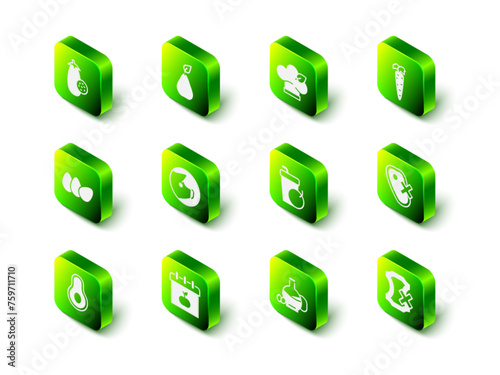 Set Pear, Vegan food diet, Carrot, No meat, leather, Fresh smoothie, Bottle of olive oil and World Vegetarian day icon. Vector