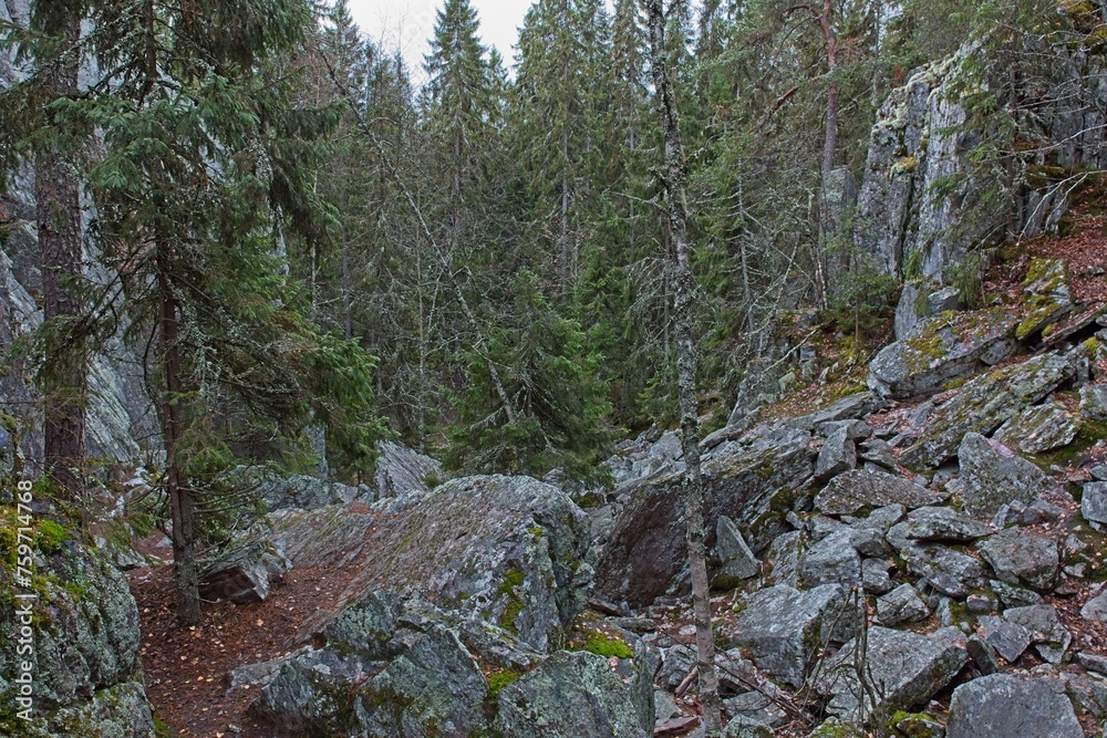 Pirunpesä (Devil´s Nest) is a gorge cutting through the quartzite bedrock at Tiirasmaa nature reserve, Hollola, Finland. Pirunpesä (Devil´s Nest) is a gorge cutting through the quartzite bedrock at Tiirasmaa nature reserve, Hollola, Finland.