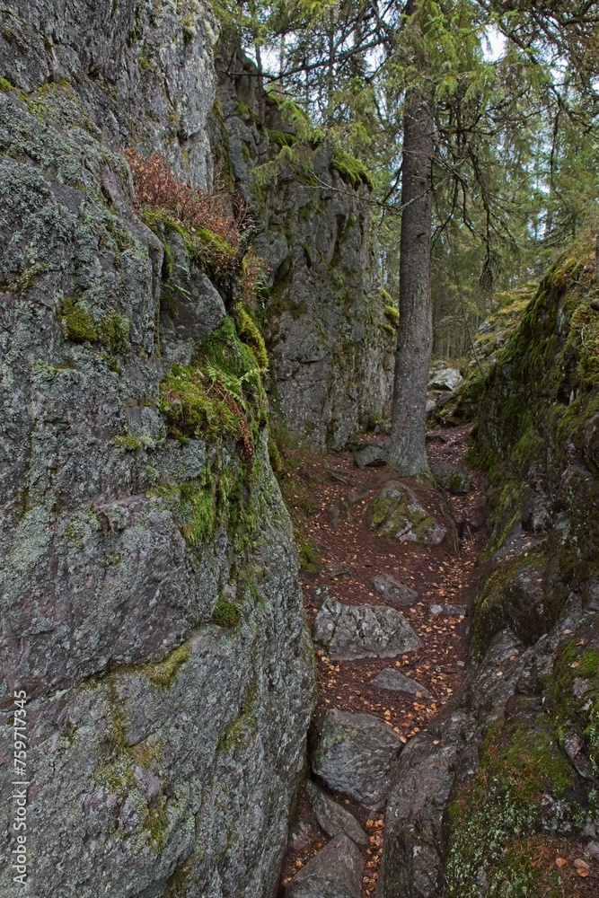 Pirunpesä (Devil´s Nest) is a gorge cutting through the quartzite bedrock at Tiirasmaa nature reserve, Hollola, Finland.