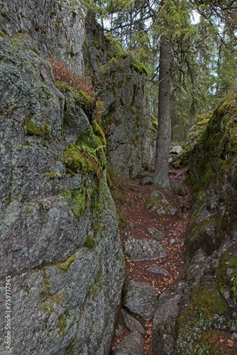 Pirunpesä (Devil´s Nest) is a gorge cutting through the quartzite bedrock at Tiirasmaa nature reserve, Hollola, Finland. © Raimo