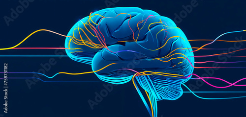 A digital illustration of a human brain with neural pathways highlighted in vibrant colors against a dark background, representing connectivity and mental processes. © Halyna