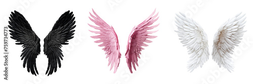 Collection of angle wings isolated on transparent or white background © Luckygraphics