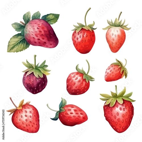 Fototapeta Naklejka Na Ścianę i Meble -  Watercolor hand drawn Whole and cut strawberries fruits and leaves set. Watercolor hand drawn illustration red strawberry , isolated on white background, fruit painting
