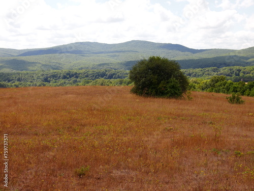 Strandzha Nature Park  Burgas Province  Republic of Bulgaria 