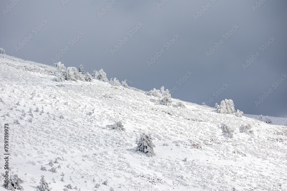 custom made wallpaper toronto digitalsnowy landscapes of Puerto de Navacerrada in the Sierra de Guadarrama in Madrid in the month of March 2024