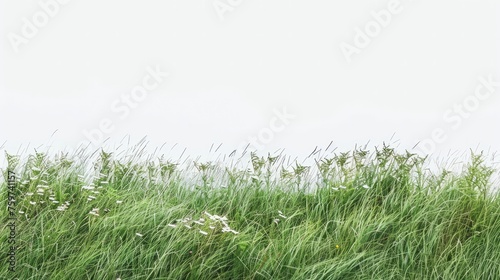 A minimalist composition of a grassy meadow, with tall grass swaying in the wind