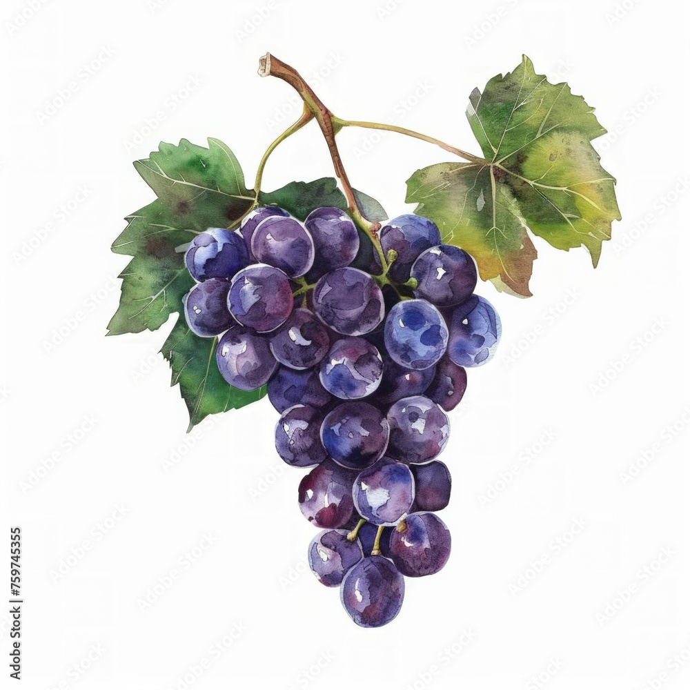 Fototapeta premium Watercolor illustration of a bunch of ripe purple grapes with green leaves, ideal for backgrounds or culinary themed designs, with space for text