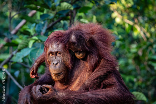 Orang Uran mother and son