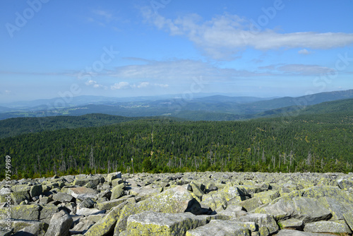 Nationalpark Bayerischerwald, Lusengipfel photo