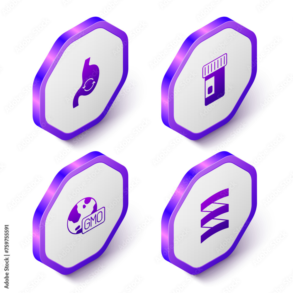 Set Isometric Human stomach health, Vitamins, GMO and Sports nutrition proteine icon. Purple hexagon button. Vector