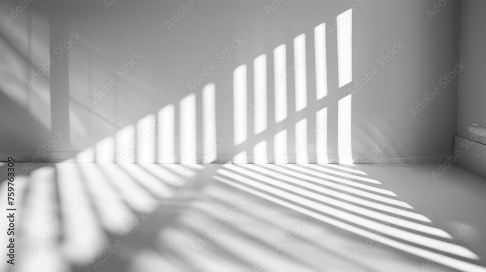 Obraz premium Branch with Leaves Casting Shadows on White Wall
