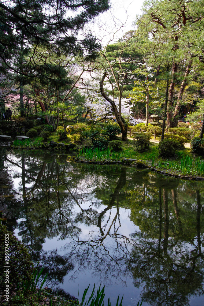 A Serene Embrace: Kyoto’s Heian Shrine Garden Splendor A Serene Embrace: Kyoto’s Heian Shrine Garden Splendor