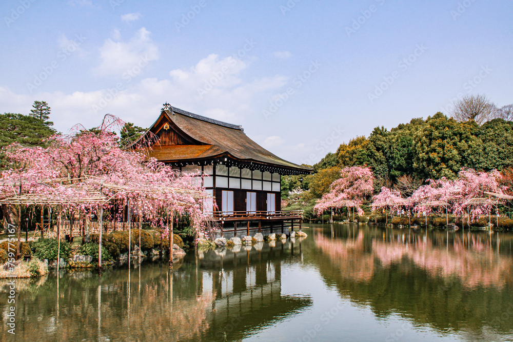 Serene Springtime Splendor Behind Heian Shrine, Kyoto