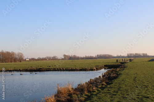 Dutch landscape agriculture