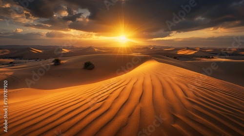 Sand dunes in the Liwa Desert, bathed in the warm light of the rising sun photo