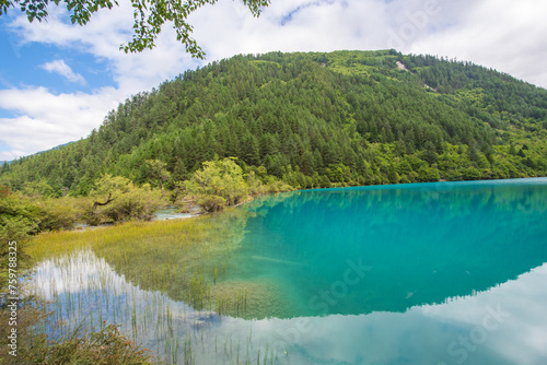 Blue lake in Jiuzhaigou Valley, Sichuan, China photo