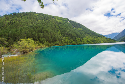 Blue lake in Jiuzhaigou Valley  Sichuan  China