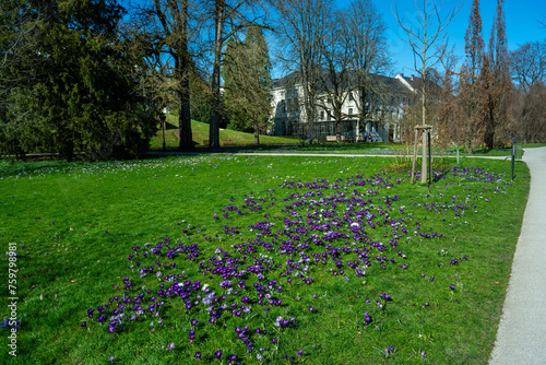 The Lichtentaler Allee in the spa park of Baden Baden _ Baden Baden, Baden Wuerttemberg, Germany. photo