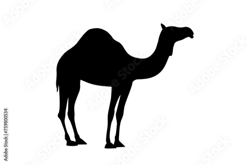 Wallpaper Mural Camel illustration design, silhouette camel with black colour Torontodigital.ca