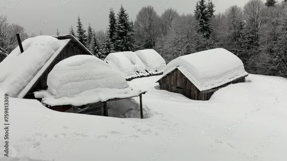 Winter Carpathians, Transcarpathian small farm high in the mountains, a lonely house and two cowsheds, fox tracks on the roof, wild forest all around Winter Carpathians, Transcarpathian small farm high in the mountains, a lonely house and two cowsheds, fox tracks on the roof, wild forest all around