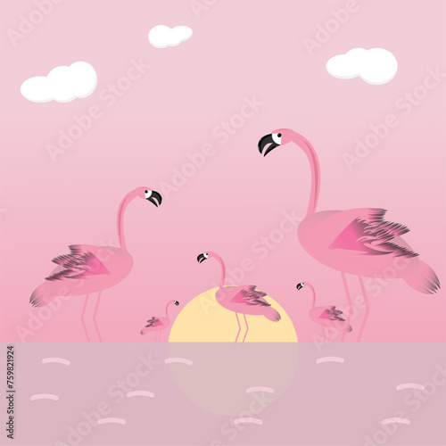 Pink flamingos resting in the lake