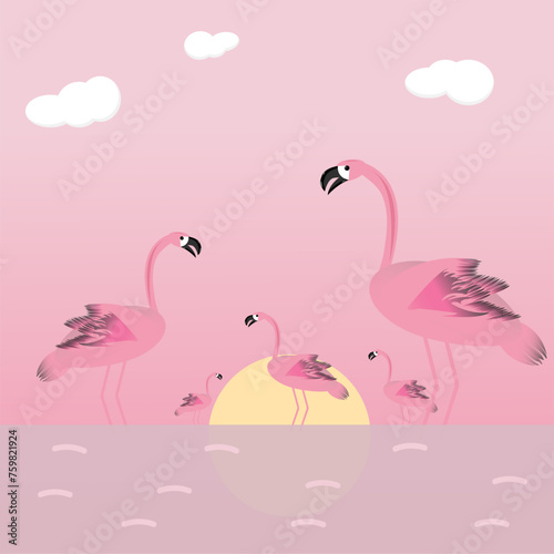 Pink flamingos resting in the lake