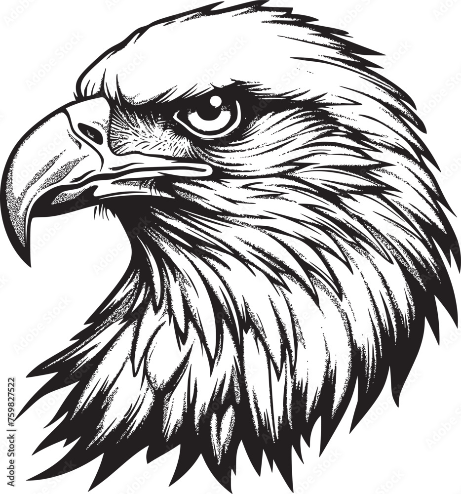 Obraz premium Eagle Head vector black and white