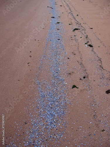 Newburgh beach - dunes and sand - shore - Ythan estuary - Newburgh - Aberdeenshire - UK photo