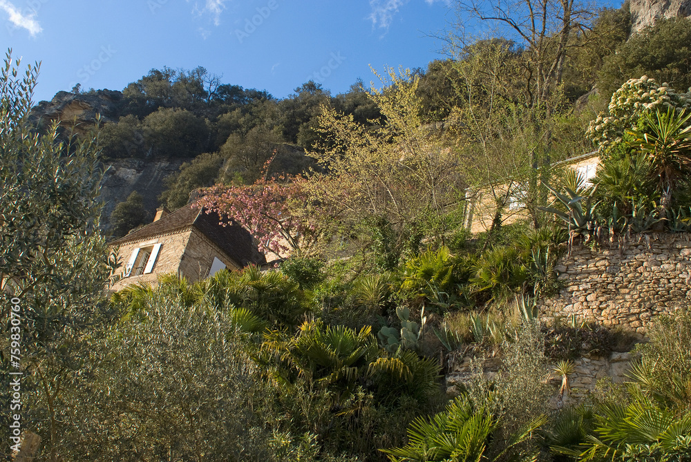 Jardin éxotique, La Roque Gageac, 24, Dordogne, France