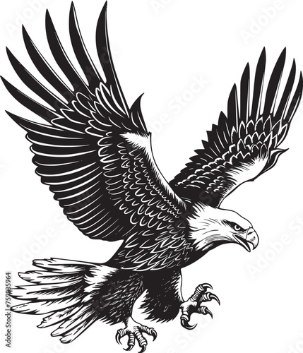 Eagle vector black and white